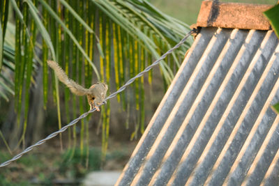 Low angle view of wooden post