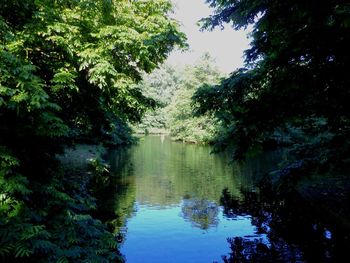 Reflection of trees in lake against sky