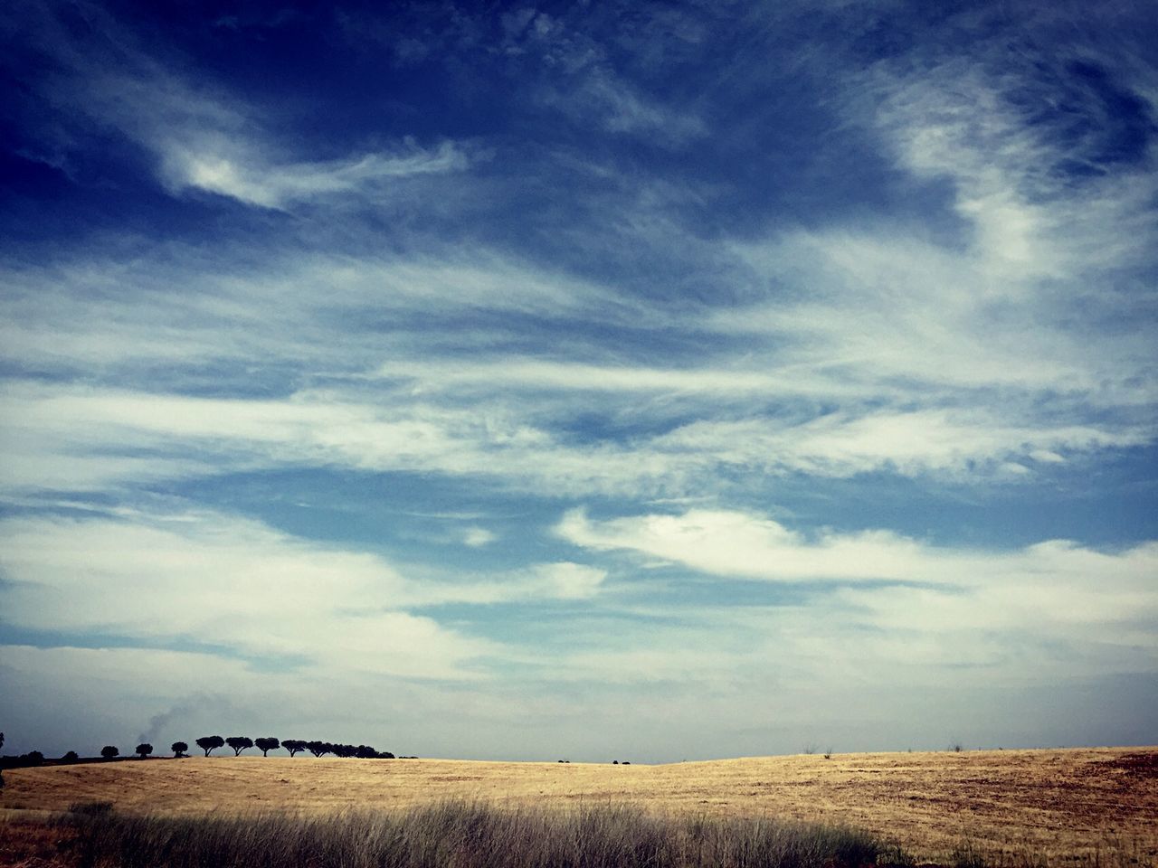 sky, landscape, tranquil scene, tranquility, field, scenics, rural scene, cloud - sky, horizon over land, agriculture, beauty in nature, nature, cloud, blue, farm, cloudy, remote, non-urban scene, idyllic, crop