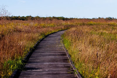 Dirt road amidst plants on field against clear sky