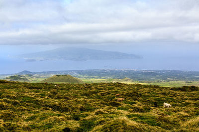 Scenic view of landscape against sky