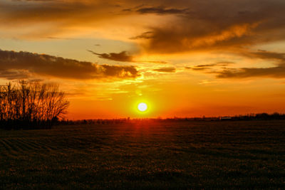 Scenic view of field against sky during sunset
