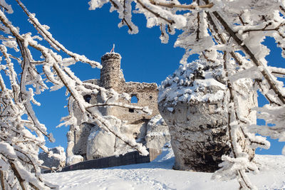 Low angle view of snow covered trees against blue sky