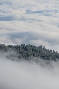 Scenic view of foggy weather against sky