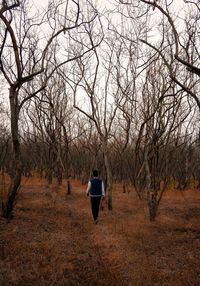 Rear view of man walking in forest