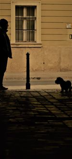 Dog in front of building