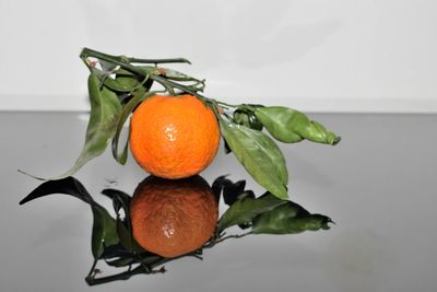 Close-up of orange fruits on table