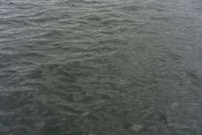 Full frame shot of rippled water