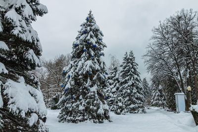 Trees on snow covered field against sky