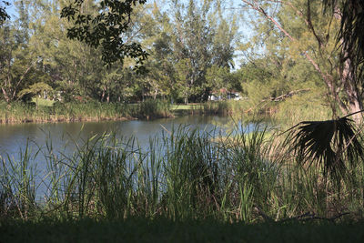 Scenic view of lake