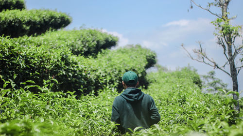 Rear view of young man standing amidst plants