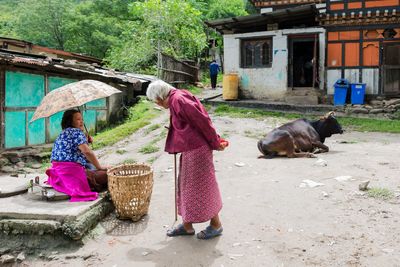 Woman in basket