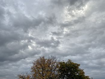 Low angle view of tree against cloudy sky