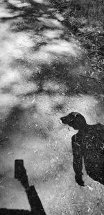 High angle view of puddle on lake