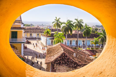 Palm trees and buildings seen through window