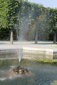 Water splashing in fountain against trees