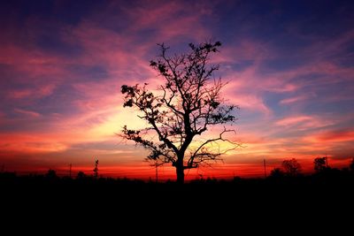 Silhouette tree on field against romantic sky at sunset