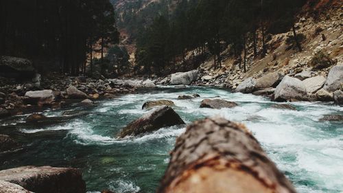 Rocks by sea against trees