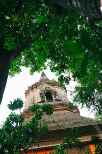 Low angle view of trees and building against sky