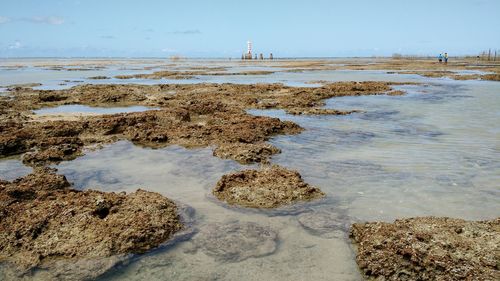 Scenic view of rocks on beach