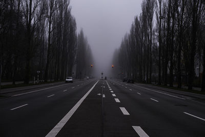 Road amidst trees during foggy weather