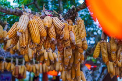 Close-up of bananas hanging at market stall