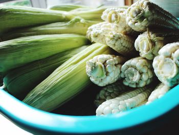 Close-up of food in bowl