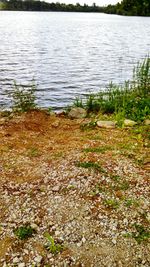 View of lake with trees in background