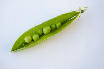 High angle view of green beans against white background