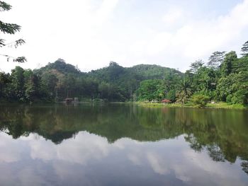 reflection
