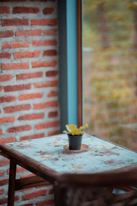 Close-up of small glass on table against wall