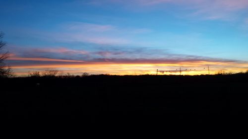 Silhouette trees on field against sky at sunset