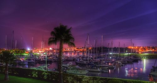 Trees against sky at night