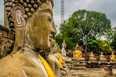 Buddha statues against trees