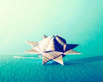 Close-up of tree against blue sky