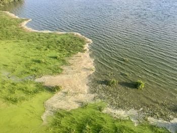 High angle view of sea shore