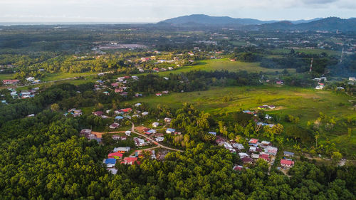 High angle view of townscape and trees in city