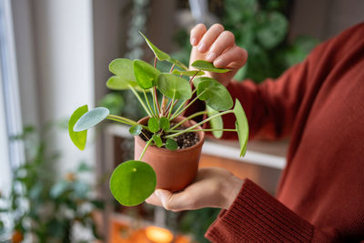 Midsection of woman holding potted plant