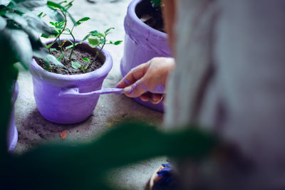 Close-up of woman hand on potted plant