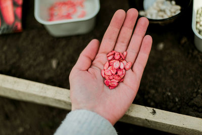 Cropped hand of woman holding heart shape