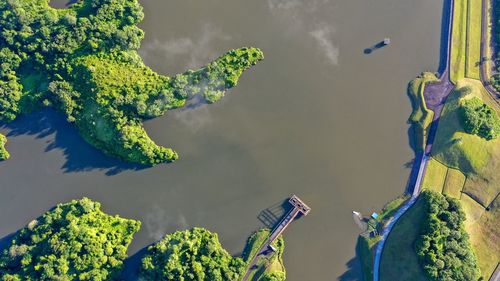 Panoramic view of plants and trees against sky