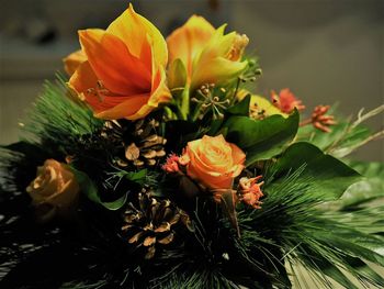 Close-up of flowers