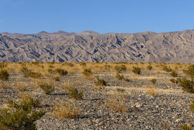Scenic view of landscape against clear sky