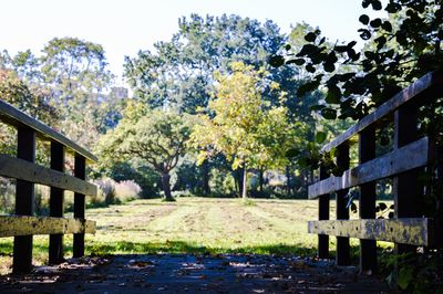 Empty bench on grassy field
