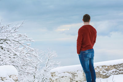 Rear view of man looking at winter against sky