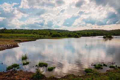 A watering hole at nairobi national park in kenya