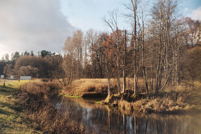 Scenic view of trees and landscape against sky