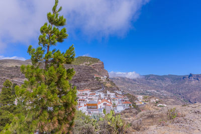 Trees on mountain against blue sky