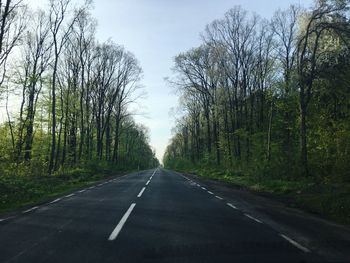 Empty road along trees