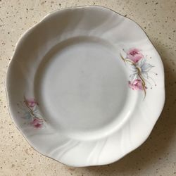 High angle view of white rose in plate on table